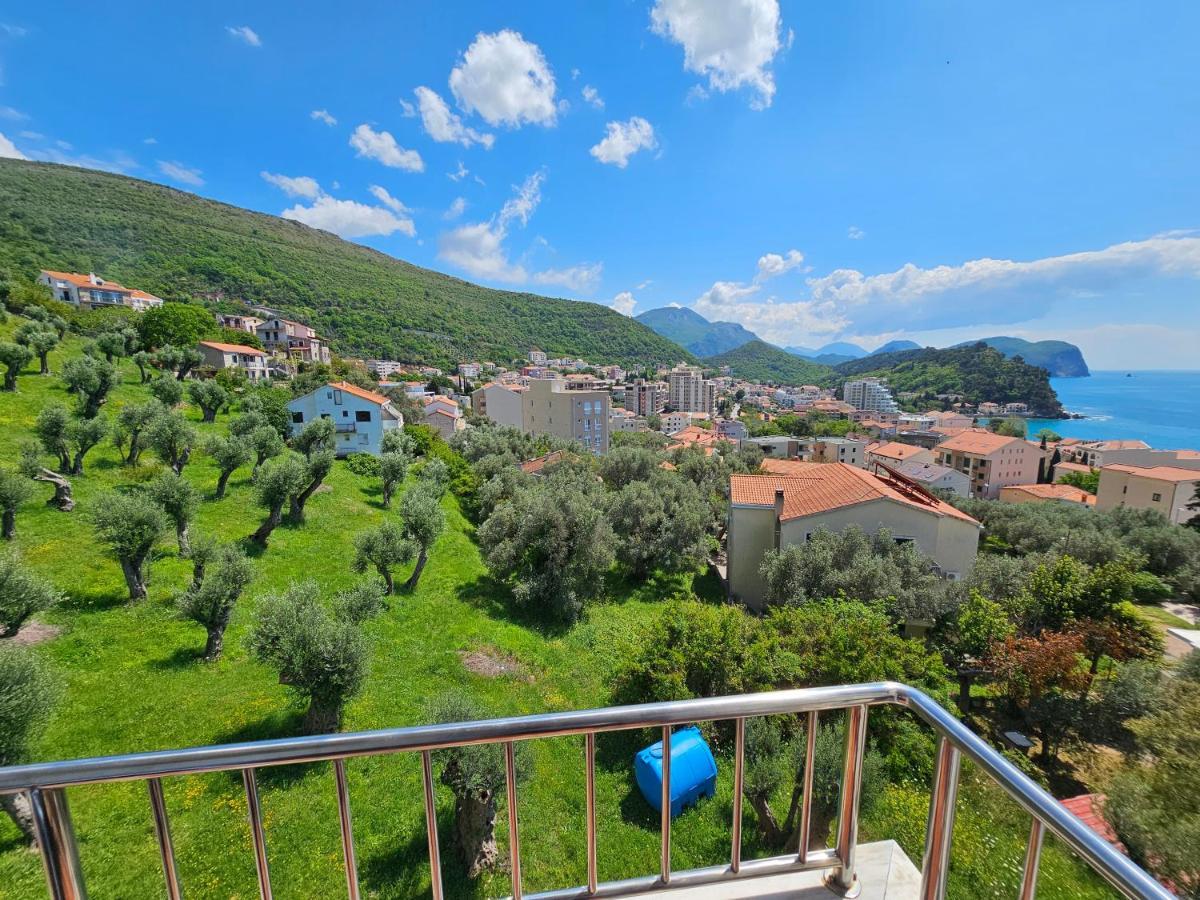 Medin Apartments Bluvista Petrovac 外观 照片