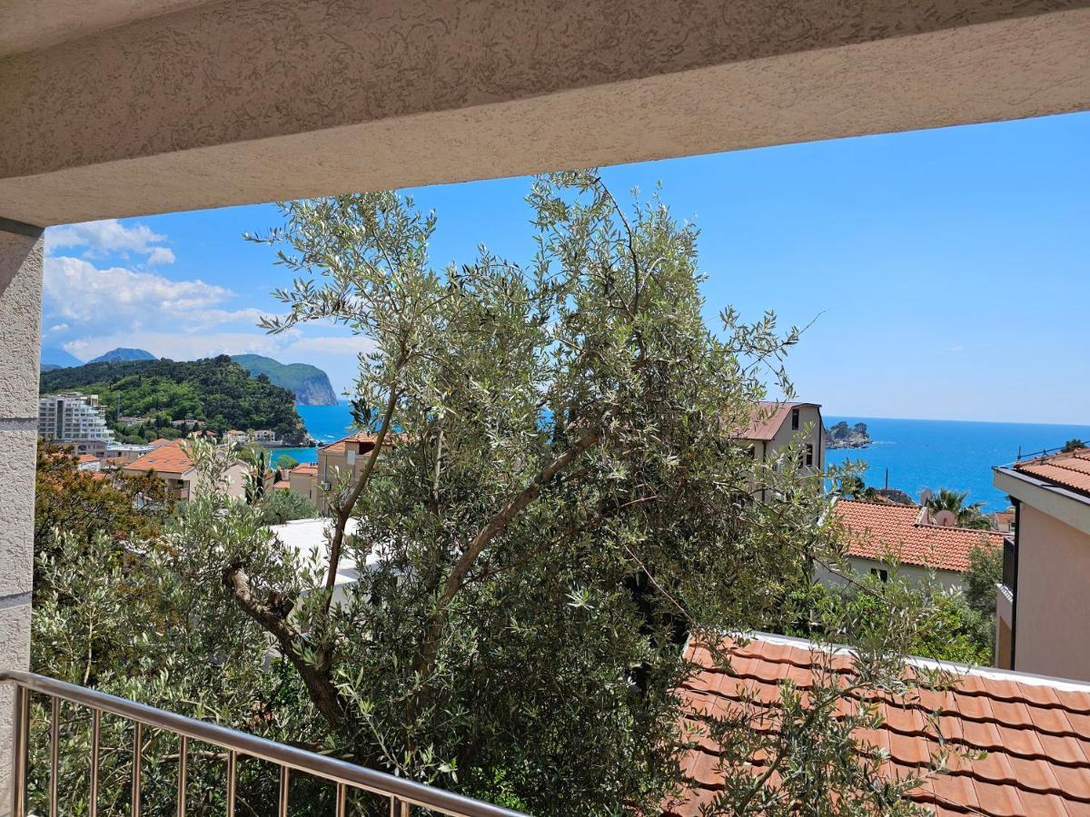Medin Apartments Bluvista Petrovac 外观 照片