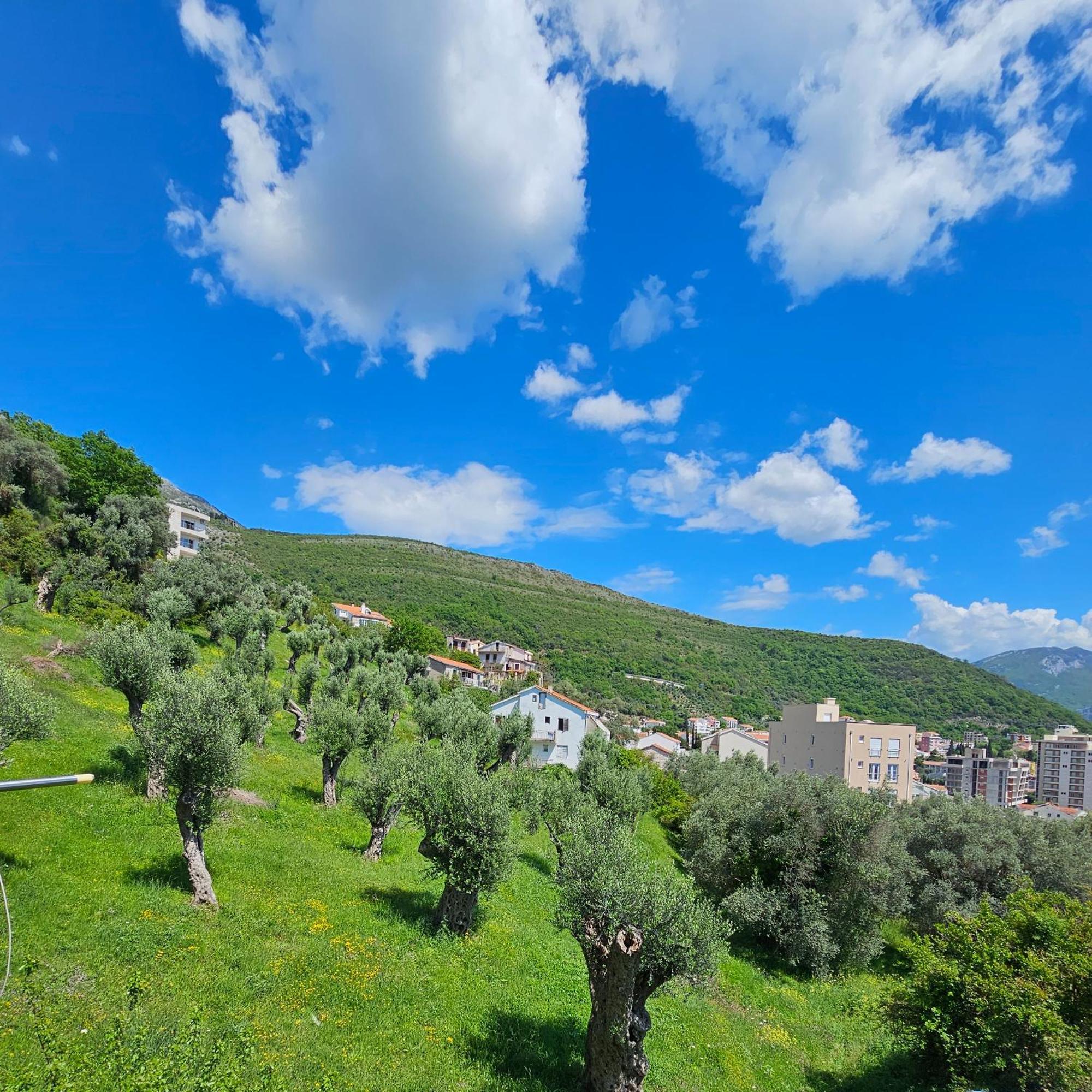 Medin Apartments Bluvista Petrovac 外观 照片