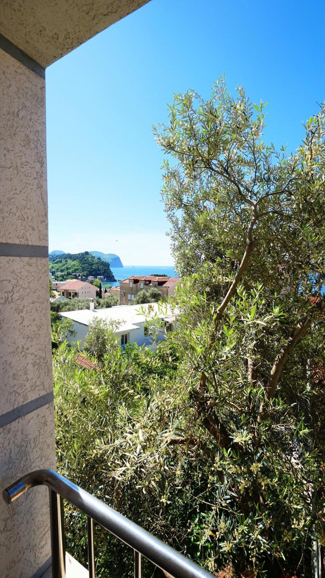 Medin Apartments Bluvista Petrovac 外观 照片